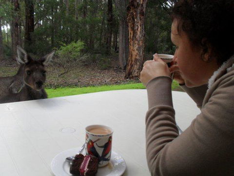Yelverton Brook Conservation Sanctuary - Accommodation in Surfers Paradise 44