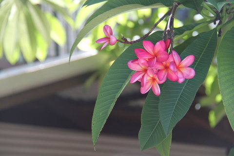 Beach House On Fox - Accommodation in Surfers Paradise 15