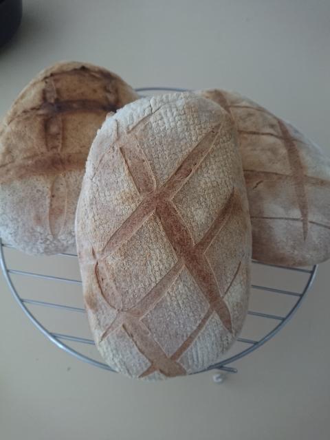 Margaret River Retreat - Accommodation in Surfers Paradise 1