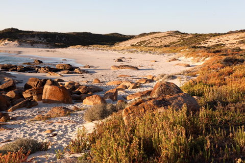 Margaret River Retreat - Accommodation in Surfers Paradise 35