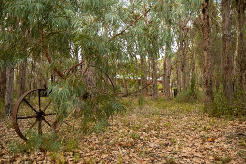 Denmark Forest Retreat - Accommodation in Surfers Paradise 5