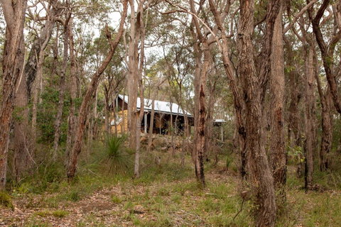Denmark Forest Retreat - Accommodation in Surfers Paradise 27