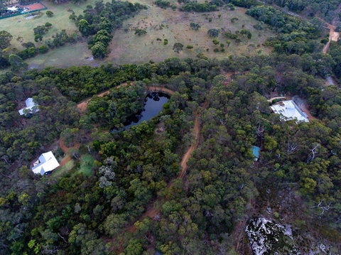 Denmark Forest Retreat - Accommodation in Surfers Paradise 1