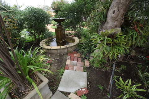 Jacaranda Guest House - Accommodation in Surfers Paradise 32