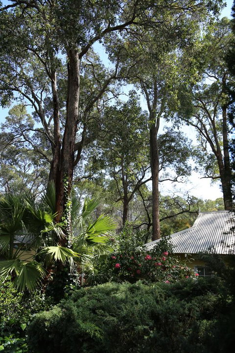 Two Sisters Chalets - Accommodation in Surfers Paradise 33