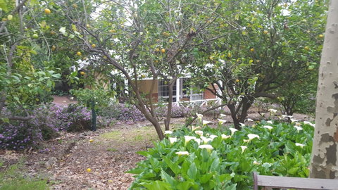 Two Sisters Chalets - Accommodation in Surfers Paradise 15