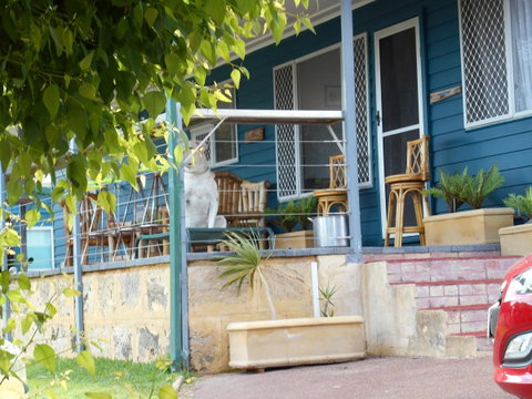 Moore River Cottage - Accommodation in Surfers Paradise 2