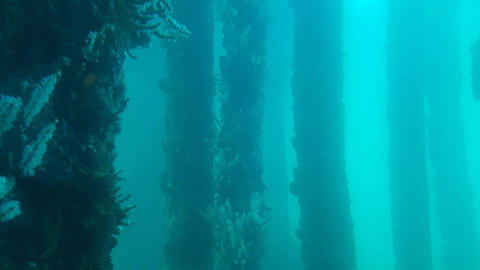 Indoyo Retreat - Accommodation in Surfers Paradise 28