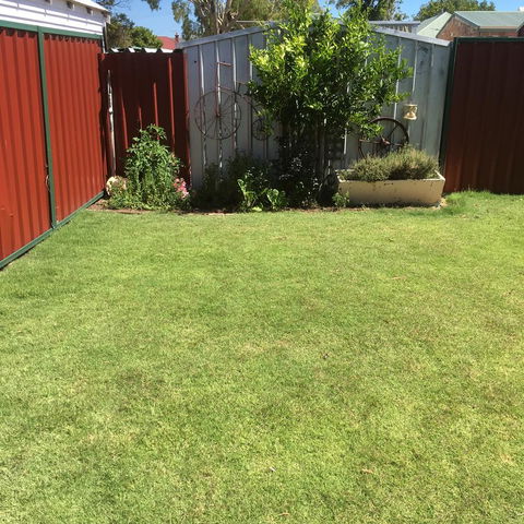 Bluebird Cottage - Accommodation in Surfers Paradise 29