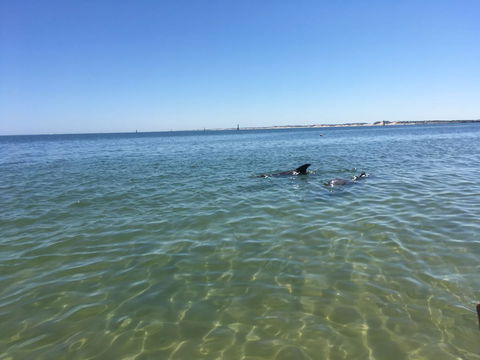 Bluebird Cottage - Accommodation in Surfers Paradise 39