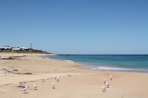 Bluebird Cottage - Accommodation in Surfers Paradise 40