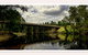 Oak Tree Barn Bridgetown - thumb 16