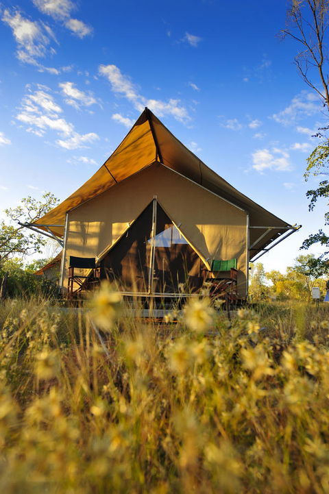 Bungle Bungle Wilderness Lodge - Accommodation in Surfers Paradise 2