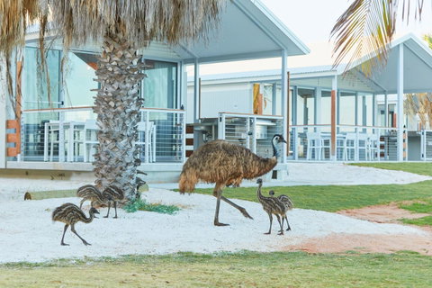 RAC Monkey Mia Dolphin Resort - Accommodation in Surfers Paradise 15