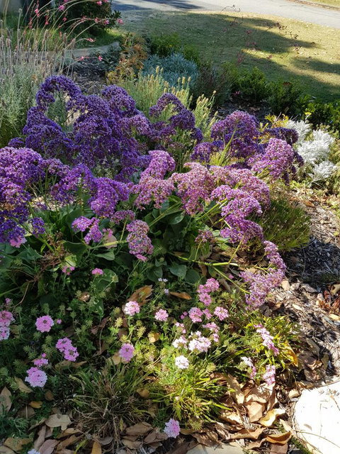 While Away Holiday Accommodation - Accommodation in Surfers Paradise 16