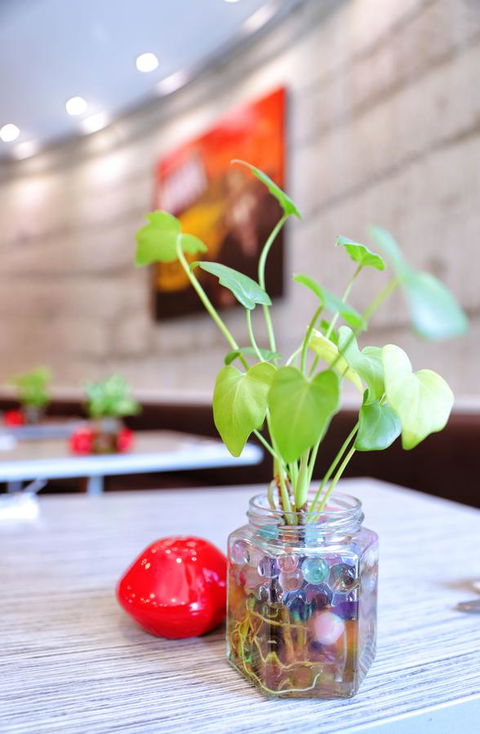 Bunbury Hotel Koombana Bay - Accommodation in Surfers Paradise 20