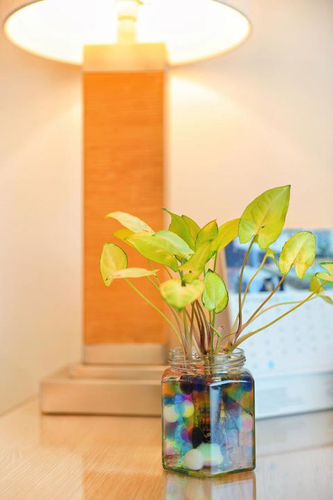 Bunbury Hotel Koombana Bay - Accommodation in Surfers Paradise 7