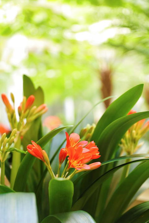 Bunbury Hotel Koombana Bay - Accommodation in Surfers Paradise 19