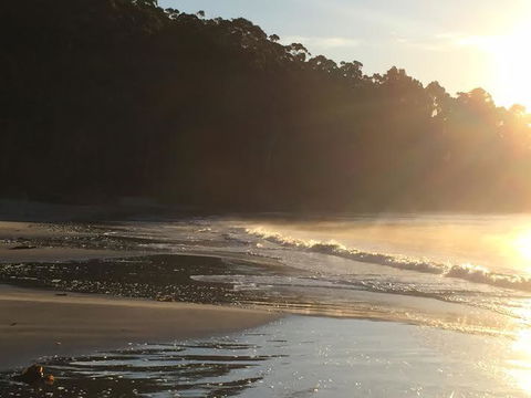 Summertime Cottage - Accommodation in Surfers Paradise 7