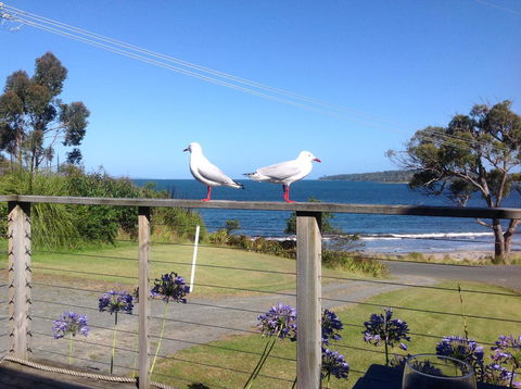 Summertime Cottage - Accommodation in Surfers Paradise 25
