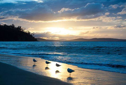 The Ultimate Beach House - Accommodation in Surfers Paradise 8