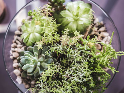 Russell House - Accommodation in Surfers Paradise 7