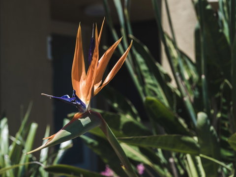 Russell House - Accommodation in Surfers Paradise 2