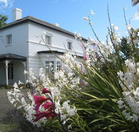 The Grove Cottages - Accommodation in Surfers Paradise