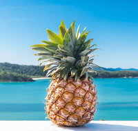 Pineapple House Whitsundays - Accommodation in Surfers Paradise