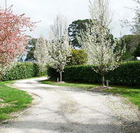 Robin Hill Manor - rambling retreat  tennis court - Accommodation in Surfers Paradise