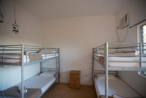 Roey Backpackers And Party Bar - Accommodation in Surfers Paradise 2