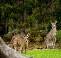 Secura Lifestyle Countryside Kalaru - Accommodation in Surfers Paradise