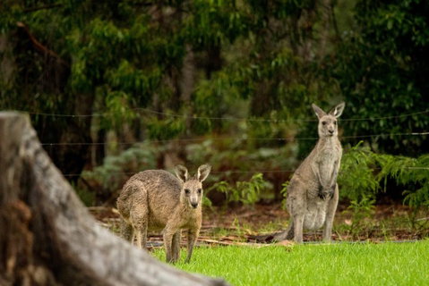 Secura Lifestyle Countryside Kalaru - Accommodation in Surfers Paradise 0