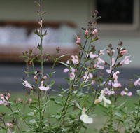 Serendipity on Allyn - Accommodation in Surfers Paradise
