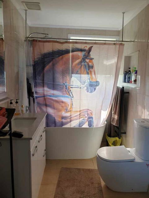 Silverbirch Cottage - Accommodation in Surfers Paradise 3