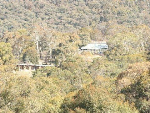Snowy Wilderness - Accommodation in Surfers Paradise 1