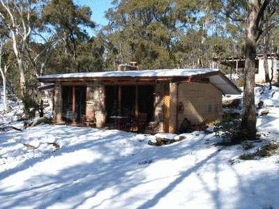 Snowy Wilderness - Accommodation in Surfers Paradise 0