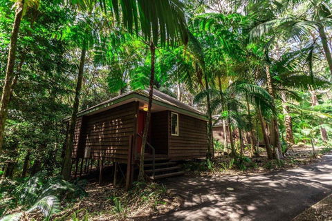 Songbirds Rainforest Retreat - Accommodation in Surfers Paradise 2