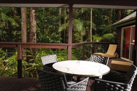 Songbirds Rainforest Retreat - Accommodation in Surfers Paradise 1