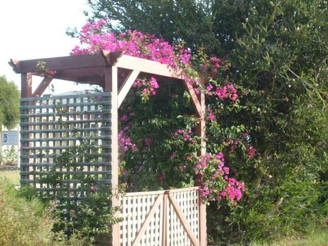 Southern Vales Bed & Breakfast - Accommodation in Surfers Paradise 3