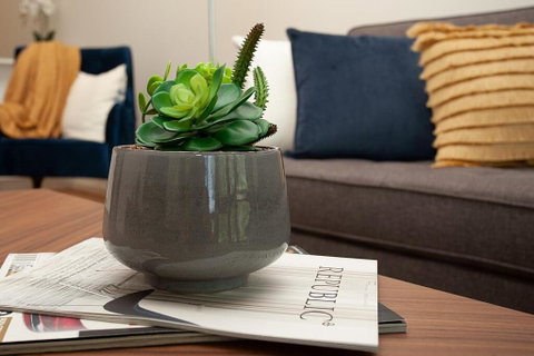 STAY&CO North Sydney Crows Nest - Accommodation in Surfers Paradise 1