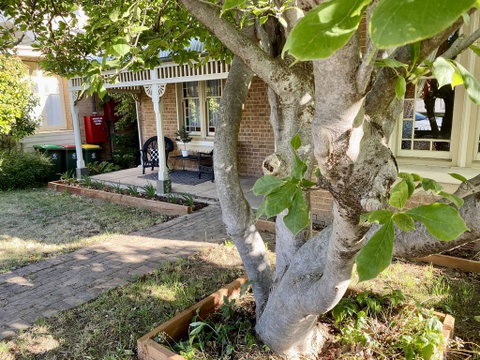 SUMMER HOUSE - CENTRAL LOCATION Near PARK - Accommodation in Surfers Paradise 0