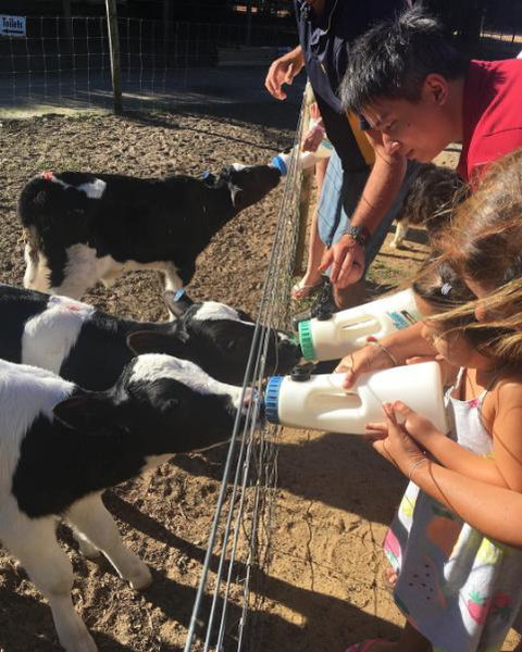Sunflowers Animal Farm & Farmstay - Accommodation in Surfers Paradise 3
