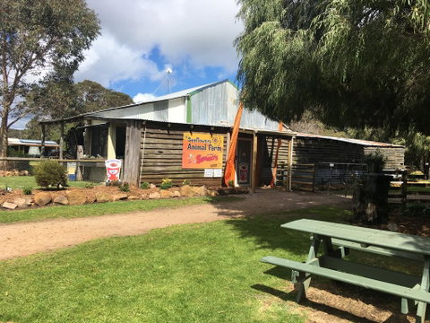 Sunflowers Animal Farm & Farmstay - Accommodation in Surfers Paradise 2