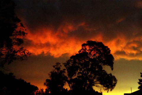 Taits Place Vineyard B & B - Accommodation in Surfers Paradise 0