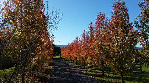 Tamar Valley Farm Stay - Accommodation in Surfers Paradise 3