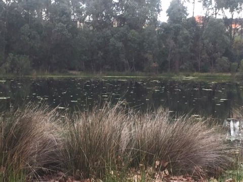 Telperon (2 Rooms, 3-4 Guests) - Accommodation in Surfers Paradise 2