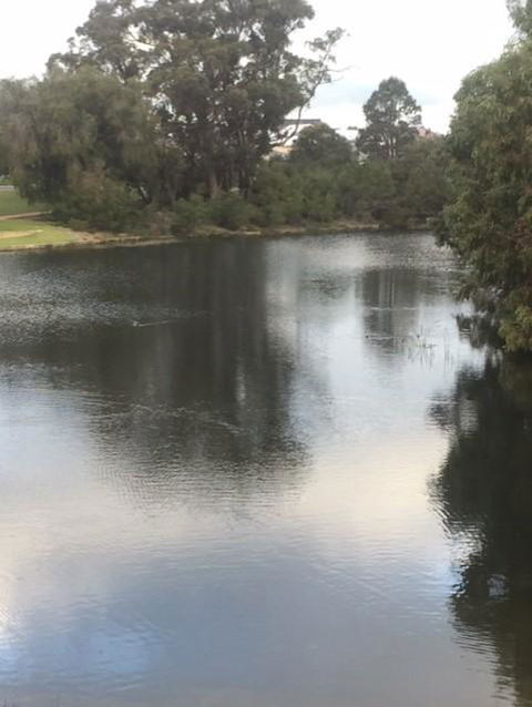 Telperon (2 Rooms, 3-4 Guests) - Accommodation in Surfers Paradise 3