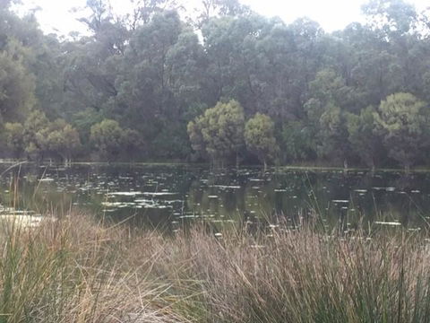 Telperon (2 Rooms, 3-4 Guests) - Accommodation in Surfers Paradise 1