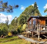 Southern Forest Accommodation - Accommodation in Surfers Paradise